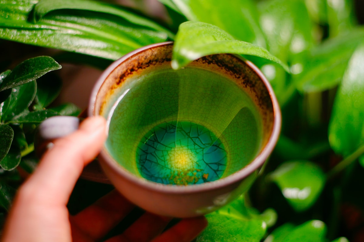 Pure Green Matcha